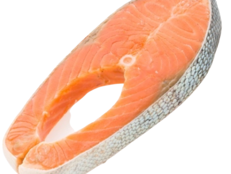 O6CCQV1__1_-removebg-preview