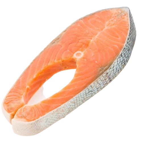 O6CCQV1__1_-removebg-preview