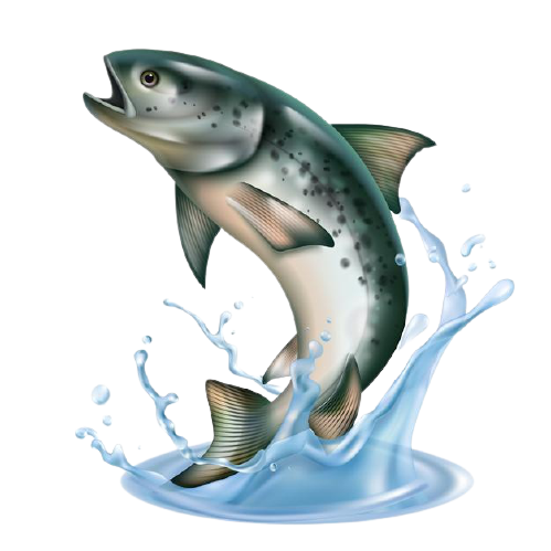 fish-jumping-out-water-with-splashes-isolated-white_1284-55234-removebg-preview
